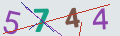 verifycode